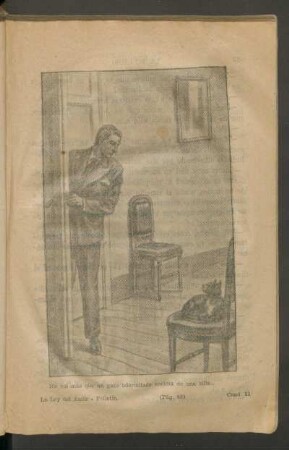 No vió más que un gato adormilado encima de una silla... - [Ilustración]