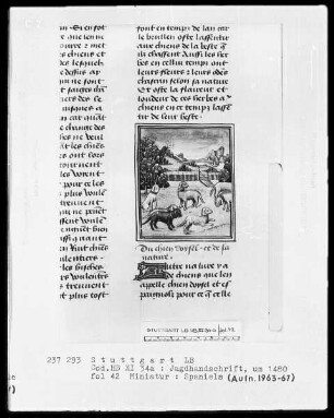 Gaston Phoebus und Kaiser Friedrich II. — ---, Folio 3recto-97verso---, Folio ---Spaniels, Folio 42recto