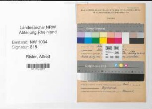 Entnazifizierung Alfred Risler , geb. 10.02.1889 (Oberst)