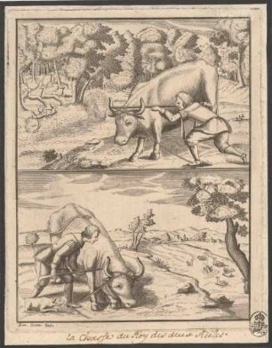 Jagd auf verschiedene Tiere mithilfe eines Rindes, aus einer Serie mit Jagdpartien des Königs beider Sizilien