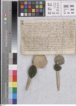 Riedhäuser Hof: Sententia arbitralis in causa inter Abbatem et conventum monasterii Eberbacensis ex una et Emerchonem rectorem ecclesiae in Leheim...