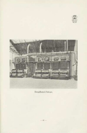 Dampfkessel-Anlage