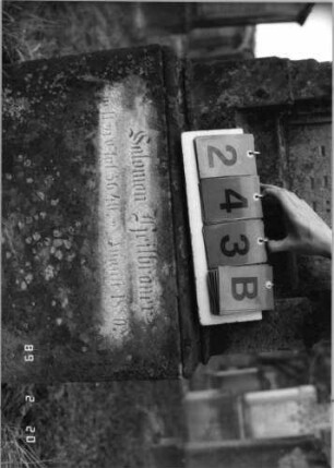 Grabstein 243 (Index: 99798701) Material: Sandstein Zustand: verwittert/Akroteren fehlen Maße HxBxT: 173x55x22 cm Beschreibung: ädikulaart. St. m. eingezog. Rundbogenabschl/Akroteren/Sockel Symbolik: Stern: Grabstein 243B
