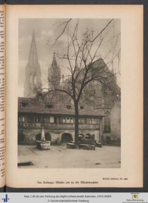 Illustration: Das Freiburger Münster und die alte Münsterbauhütte.