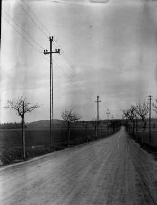 Sachsen? Erste 110 kV-Freileitung des Elektroarmaturenwerks Radebeul-Kötzschenbroda. Landstraße mit Leitungsmasten und jungen Bäumen