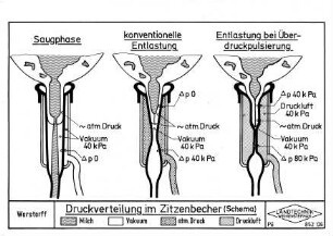 Druckverteilung im Zitzenbecher
