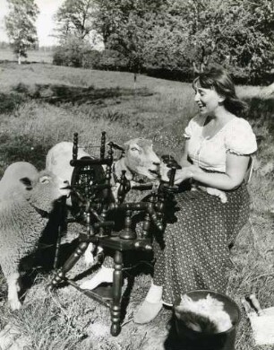 Die Frau des Fotografen, Fidi, sitzt im Freien am Spinnrad und verarbeitet die Wolle von Schafen. Diese schauen "interessiert" zu