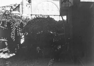 Straße : Blick in eine Straße mit Weinranke