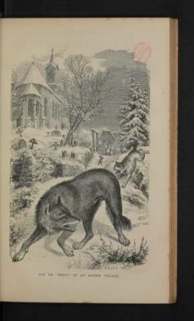 Tafel: Cry of "wolf" in an alpine village.