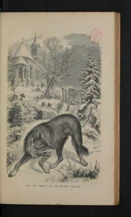 Tafel: Cry of "wolf" in an alpine village.