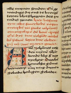 Rosenkranz von Johannes dem Evangelisten
