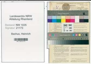 Entnazifizierung Heinrich Bachus , geb. 18.11.1900 (Kraftfahrer)