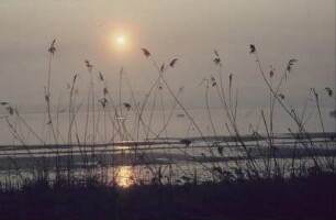 Bodensee. Abendstimmung