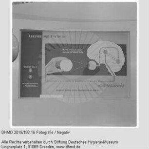 Nationale Hygiene-Ausstellung - Raum 10 - "Analyse und Synthese"