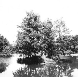 Cottbus. Branitzer Park (1846-1871; H. v. Pückler-Muskau). Insel im Pyramidensee mit Gedenkstein für Hermann von Pückler-Muskau und Lucie von Pückler-Muskau. Blick nach Nordost