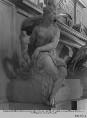 Grabmal des Michelangelo Buonarroti : Pictura