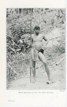 Mixed Sakai-Semang type, Ulu Batu, Selangor