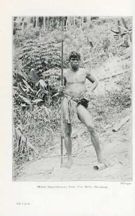 Mixed Sakai-Semang type, Ulu Batu, Selangor