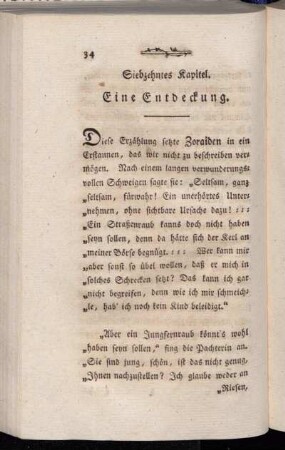 Siebzehntes Kapitel. Eine Entdeckung.