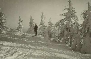 Osterzgebirge. Skiläufer auf dem Kahleberg