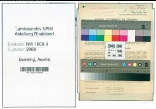 Entnazifizierung Aenne Buening , geb. 28.09.1895 (Angestellte)