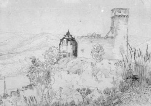 Die Burg Hirschhorn am Neckar