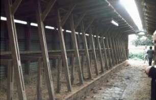 Fotografie: Milchviehhaltung, Liegehalle, Tiefbox