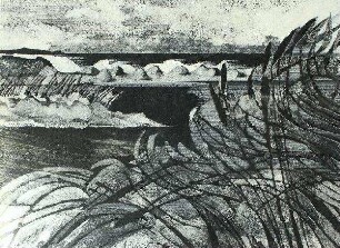 Uferlandschaft