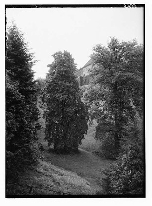 Meißen-Siebeneichen. Schloss Siebeneichen. Ansicht von Südost. Im Vordergrund Ulme und Linde