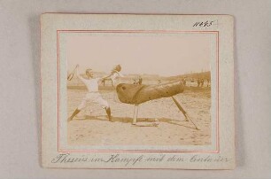 Theseus im Kampfe mit dem Centauer