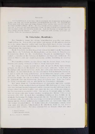 14. Unterkiefer, Mandibula.
