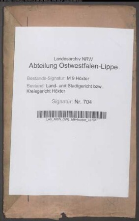 Ablösung des Gutes Lüttmarsen bei Corvey.: Bd. A: Dokumentenmasse freiwillige Staatsanleihe.