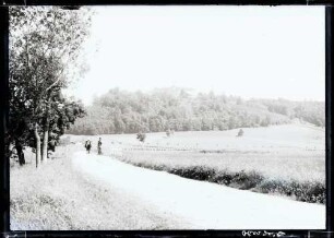 Fernsicht des Schlosses