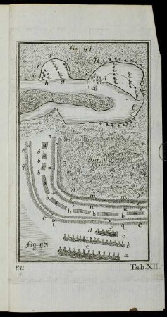 Tab. XII. fig. 41 - fig. 43