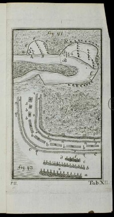 Tab. XII. fig. 41 - fig. 43