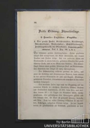 Dritte Ordnung: Schmetterlinge.