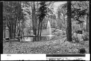Dresden, Schloss Eckberg mit Parkanlage