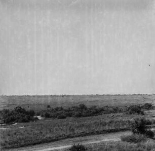 Panorama : Panorama der Grabenebene in Richtung der Virunga-Vulkankette