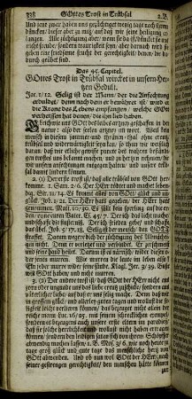 Das 45. Capitel. Gottes Trost in Trübsal wircket in unsern Hertzen Gedult.