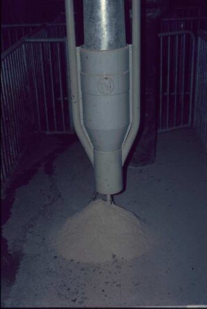 Fotografie: Fütterungstechnik, Mastschwein, Trockenfütterungsanlage
