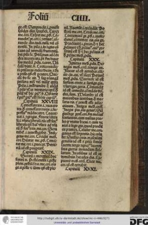 Capitulum XXVIII.