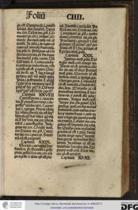 Capitulum XXVIII.