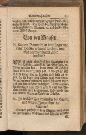 Von den Haasen