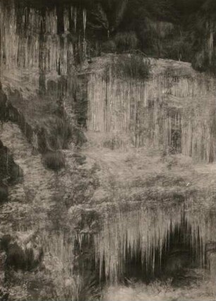 Sächsische Schweiz. Wasserfallartige Eisbildungen durch austretendes Sickerwasser an Schichtfugen des Sandsteins