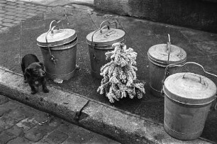 Weihnachtsbaum-Entsorgung über die Karlsruher Müllabfuhr