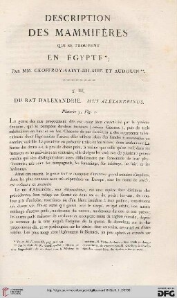 Description des mammifères qui se trouvent en Égypte
