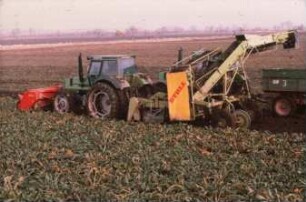 Fotografie: Erntetechnik, Zuckerrübe, Frontköpfer, Zuckerrübenköpfrodelader, Parallelverfahren