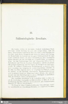 III. Paläontologische Resultate