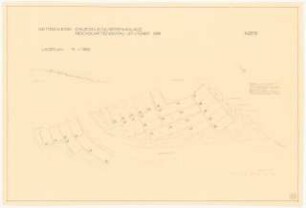 Kleingartenkolonie für den Wettbewerb der Reichsgartenschau, Stuttgart: Lageplan 1:500, Schnitt