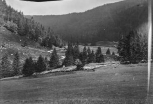 Berglandschaft : Blick über eine Hochebene mit Wiesenfläche, links und im Hintergrund Bergwald auf den Hängen, vorn ein Zaun